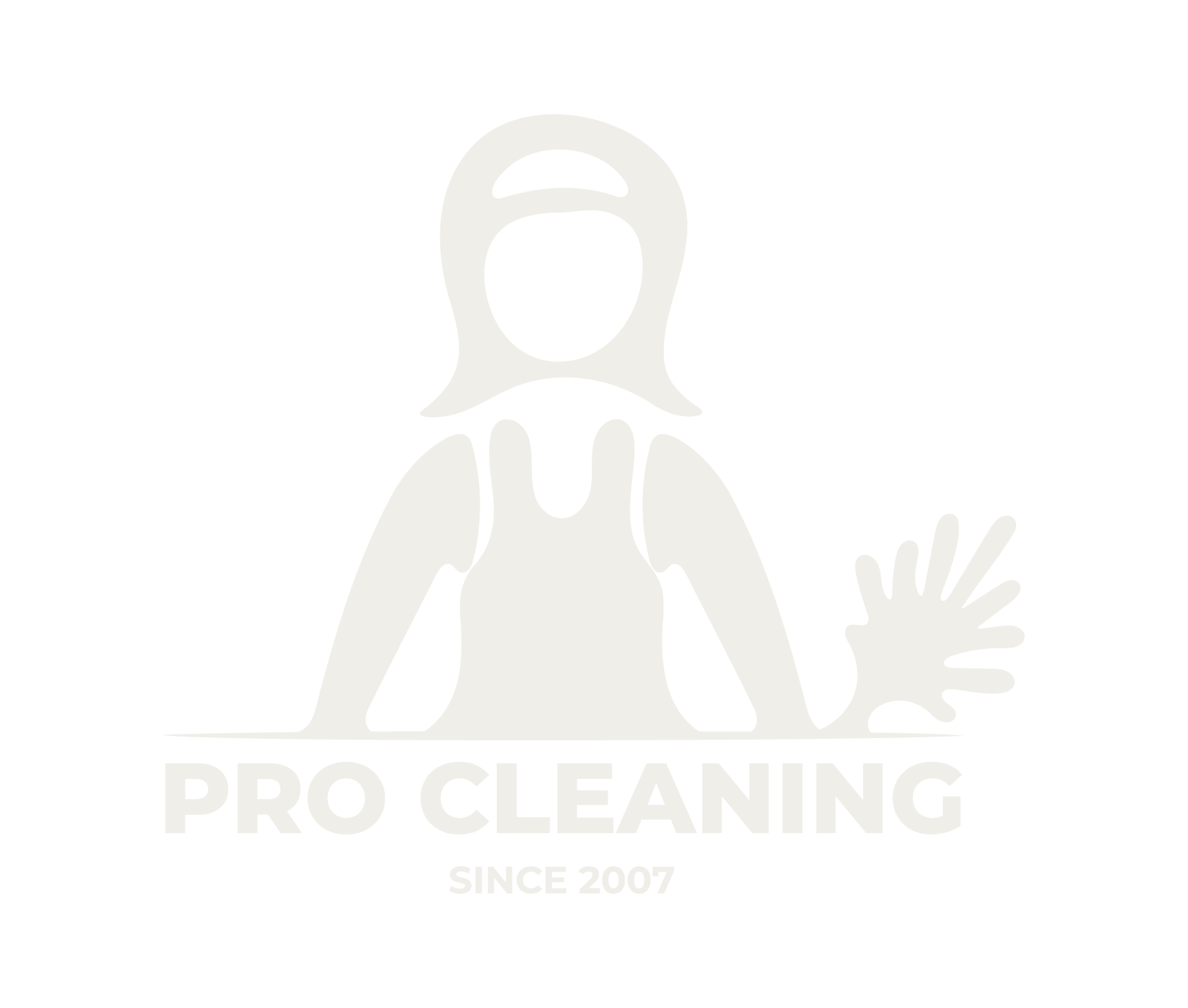 Pro Cleaning
